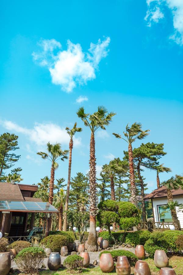 Bijarim Resort Τζέτζου Εξωτερικό φωτογραφία